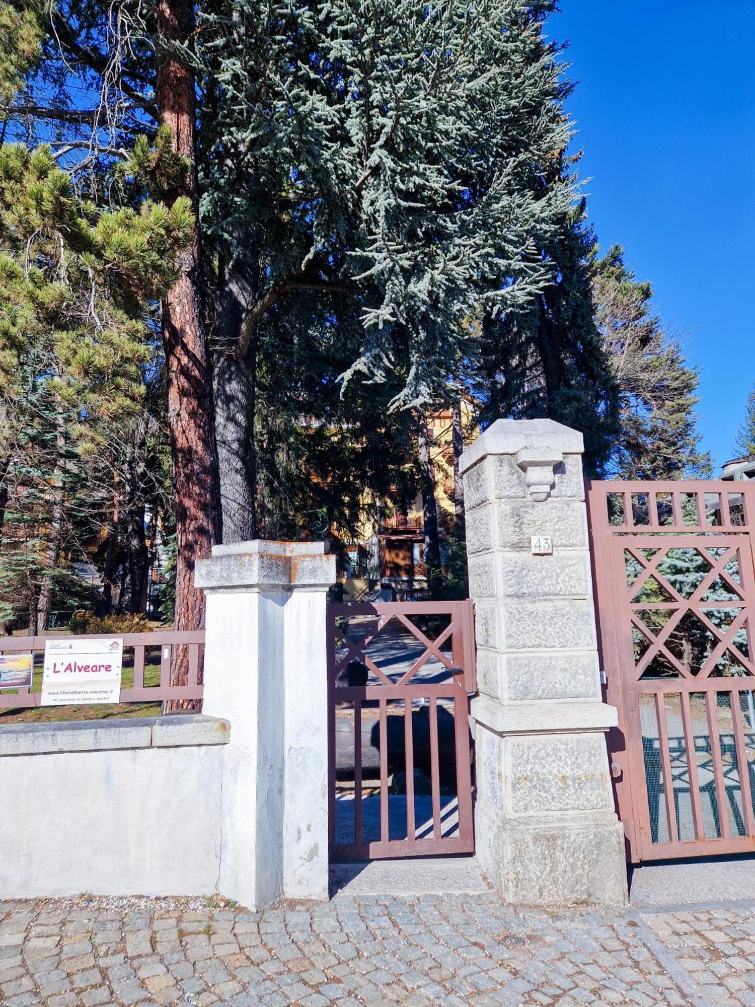 Bardonecchia Studio Apartment - Frejus Palace Εξωτερικό φωτογραφία